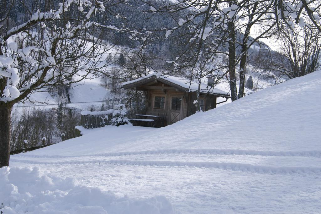 Vordergugg Vila Mittersill Exterior foto